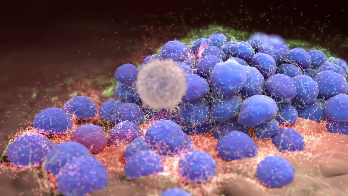 QF-BioFilm0001-0119